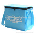 2014 promotional cooler bag,can cooler bag,cooler bag for bottle